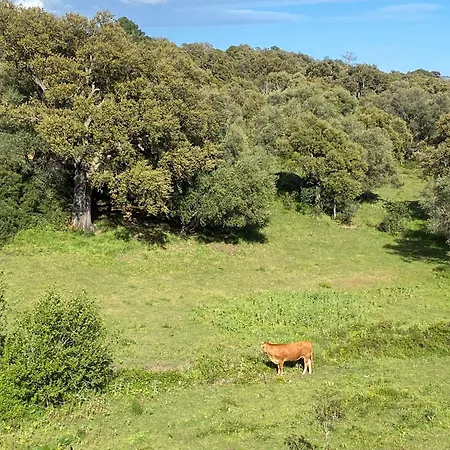 Les Arbousiers De Murateddu بيت للعطل *