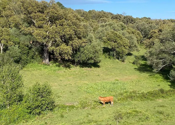 Les Arbousiers De Murateddu بيت للعطل *